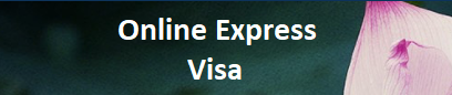 vietnam visa online application